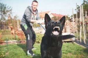 Dog Attack Threat